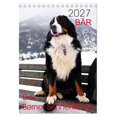 BÄR - Der Berner Sennenhund (Tischkalender 2027 DIN A5 hoch), CALVENDO Monatskalender