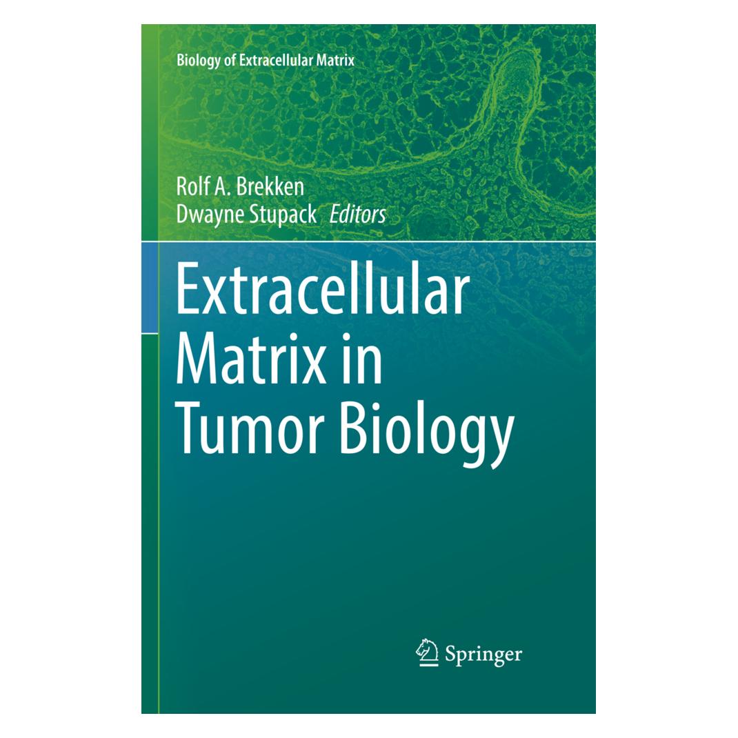 Springer Extracellular Matrix in Tumor Biology (Englisch, Softcover, Dwayne Stupack, Rolf A. Brekken) (56053293)