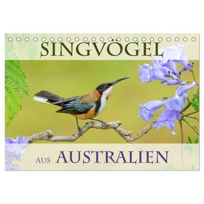 Singvögel aus Australien (Tischkalender 2026 DIN A5 quer), CALVENDO Monatskalender