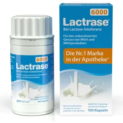Lactrase 6.000 FCC Laktase Kapseln 100 St