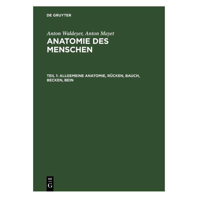 De Gruyter Waldeyer:Allgemeine Anatomie, Rücken, B (Deutsch, Hardcover, Anton Mayet, Anton Waldeyer) (67760017)