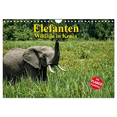 Elefanten. Wildlife in Kenia (Wandkalender 2027 DIN A4 quer), CALVENDO Monatskalender