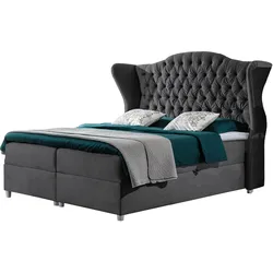 BOXBETT Livia - H3