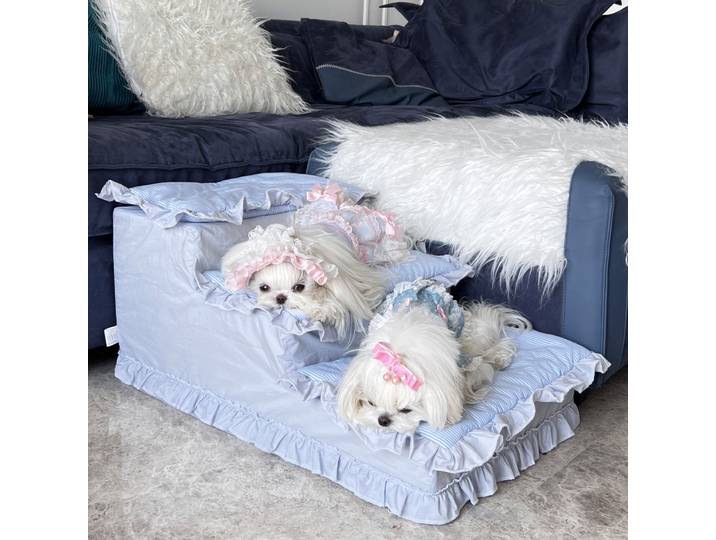 Escalier de luxe pour chien et chiot, escalier avec marches pour petits chiens et chats, rampe
