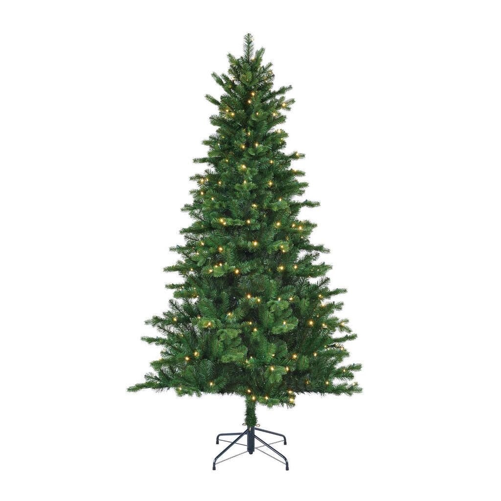 Kunstkerstboom Brampton met LED, 215 cm