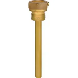 Einschraubschutzrohr Edelstahl 100 mm G1/2