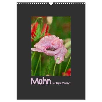 Mohn (Wandkalender 2026 DIN A3 hoch), CALVENDO Monatskalender