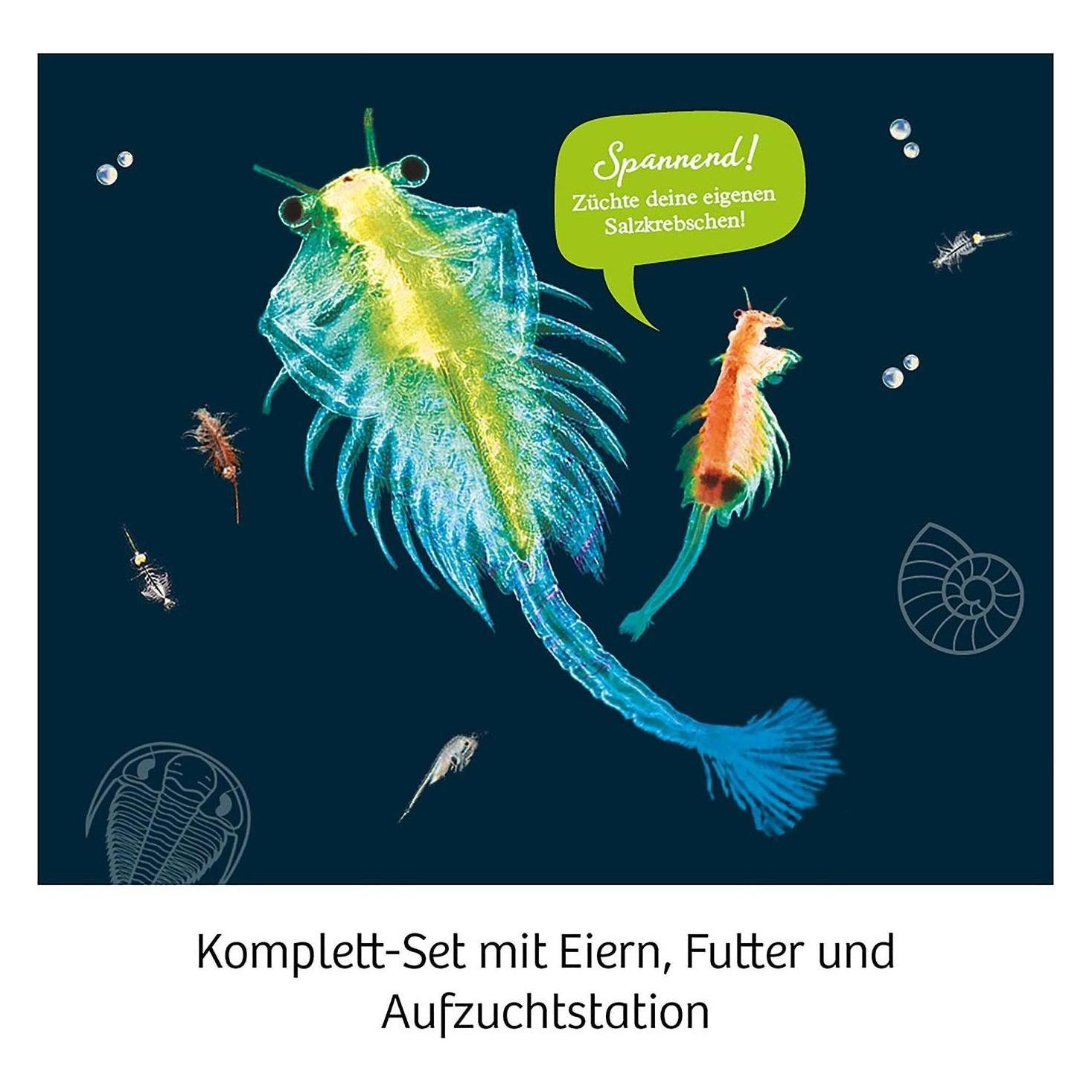 Kosmos Urzeit-Krebse (657871)
