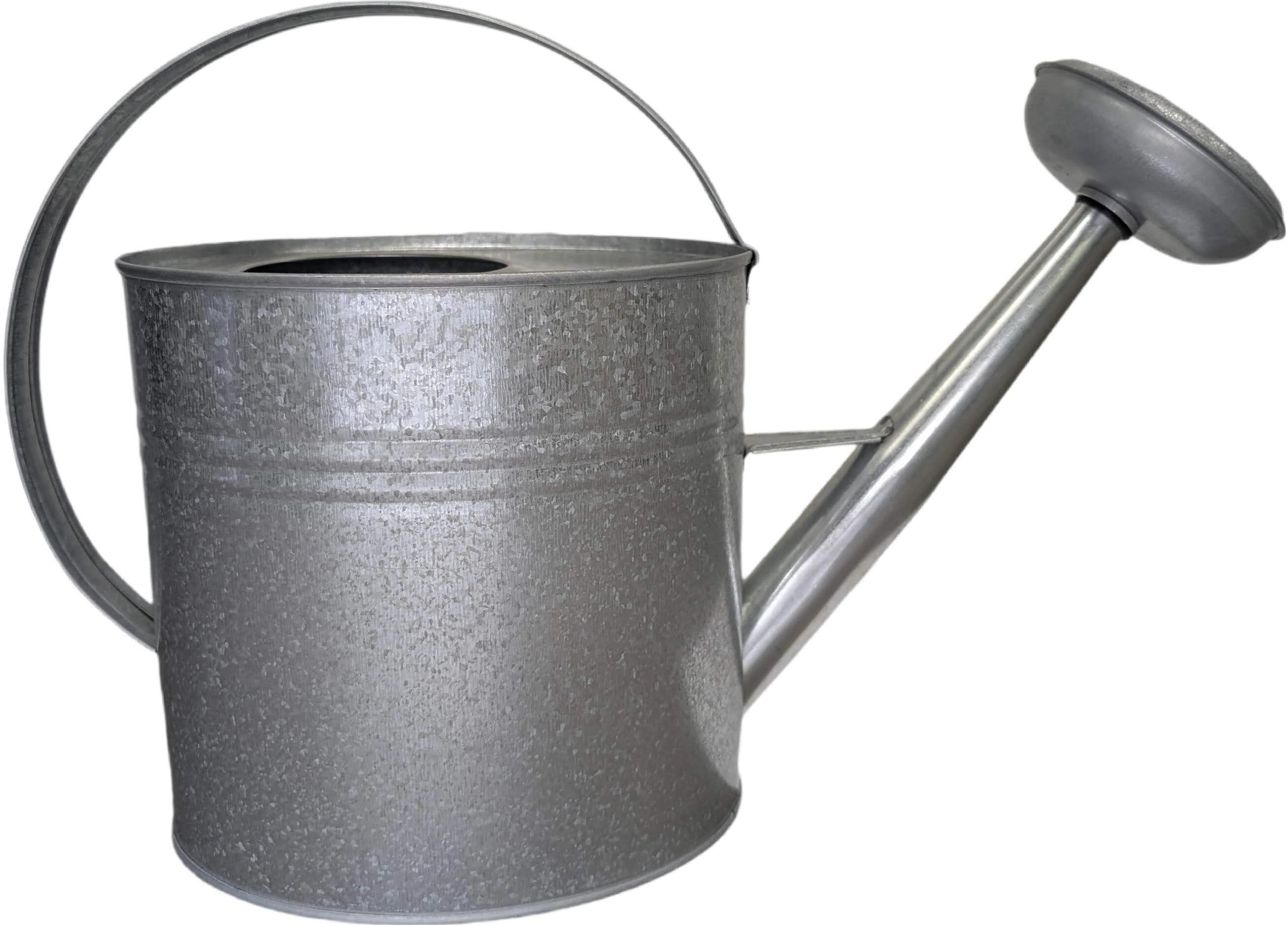 Giesskanne "CHALET Brass 3,5 l", silber (grau), Giesskannen, Giesskanne grau Einheitsgröße