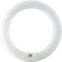 MASTER TL-E Circular -  Fluorescent lamp -  Energieverbrauch: 40.8 W -  Energiee TL-E 40W/830 1CT/12