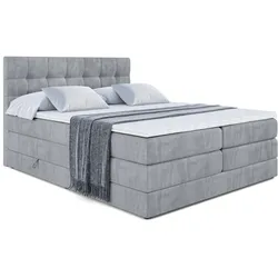 BOXSPRINGBETT BERO KING - 120x200 - H3/H4 - Grau
