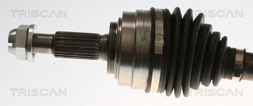 Triscan 8540 25748 Für Renault