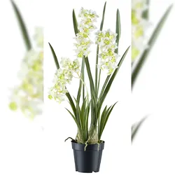 CREATIV green künstliche Pflanze Cymbidie orientalis, ca 80cm, "Real Touch"