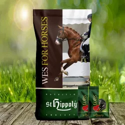 St. Hippolyt WES for Horses - Basic Crunch 25 kg + St. Hippolyt Lobs Belohnungswürfel 2 x 1 kg gesch