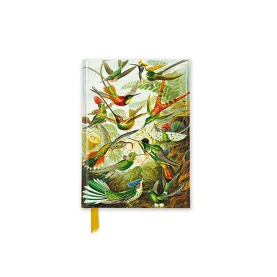 Premium Notizbuch DIN A6: Ernst Haeckel, Kolibris, Nonbook von Flame Tree Publishing, Flame Tree, 978-1-83562-580-4