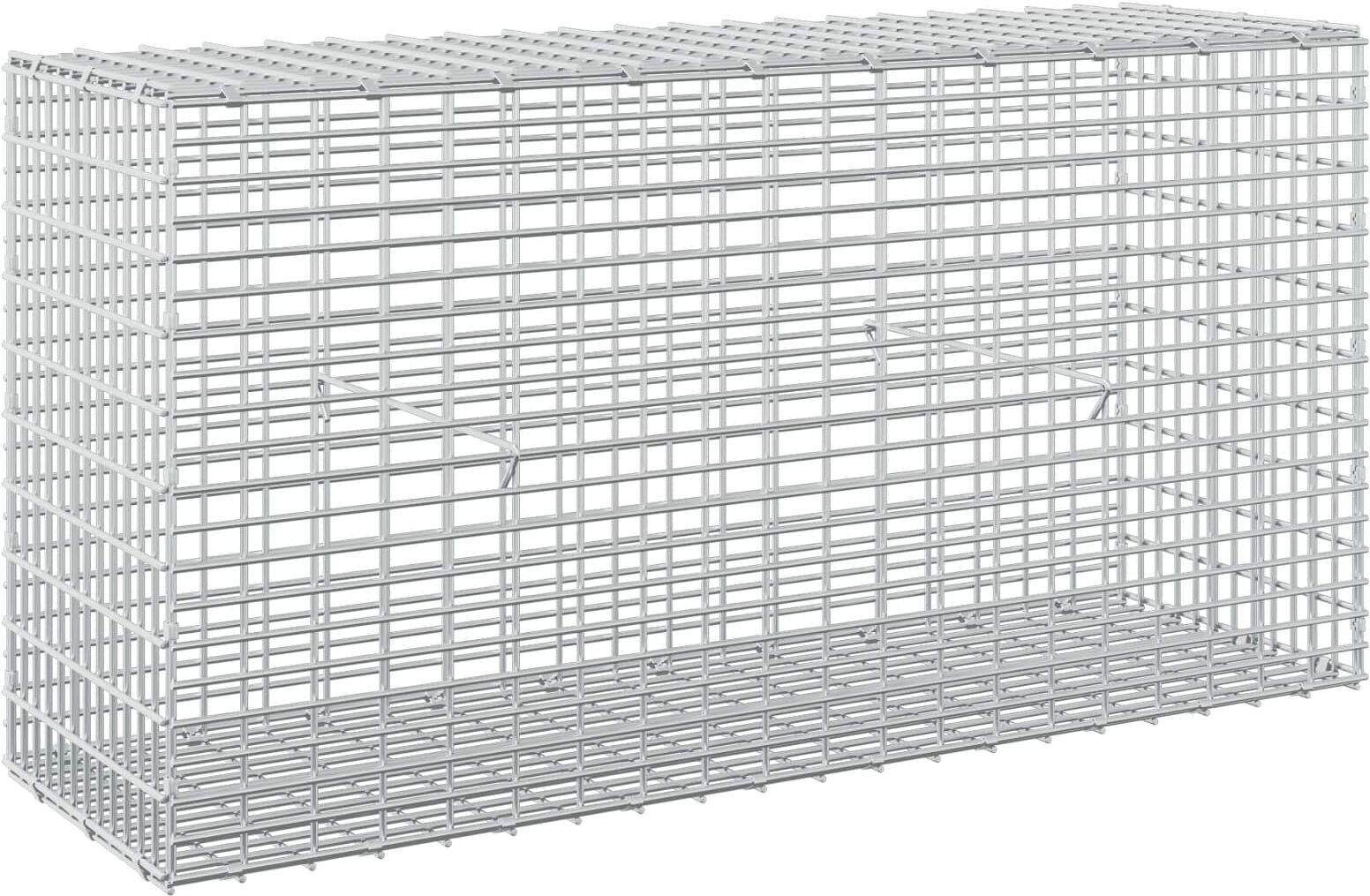 vidaXL Gabion avec fil de 5 mm et maille de 5x2,5 cm 100x30x50 cm