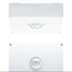 Zumtobel 42937869 Sicherheitsleuchte RESPRO MSC ESC90 E3BC WH IP65