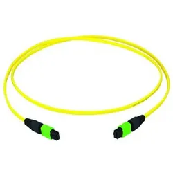 Telegärtner MPO/MTP-Patchkabel gb 30m 100011144