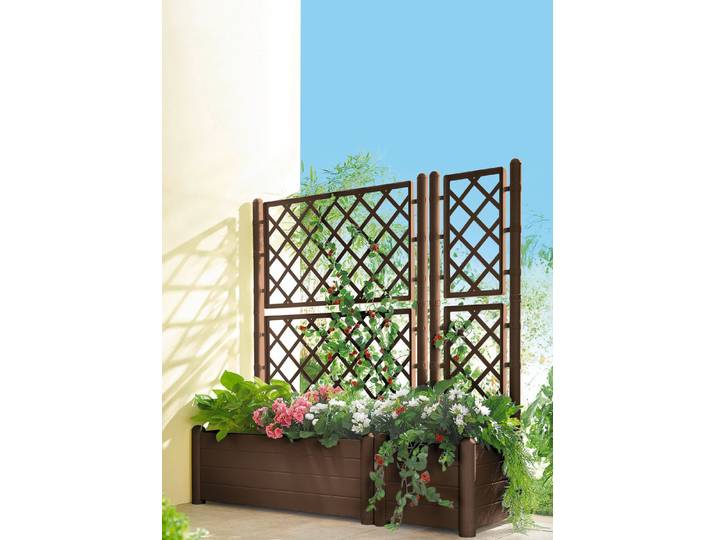 Pflanzkasten mit Spalierwand, Braun, Pflanzkasten klein