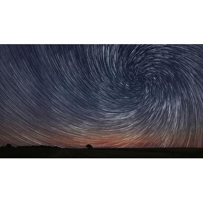 Fototapete PAPERMOON "GEWUNDENER STERN-BAUM HIMMEL ABSTRAKT MUSTER FANTASIE", bunt, B:2,5m L:1,86m, Vlies, Tapeten