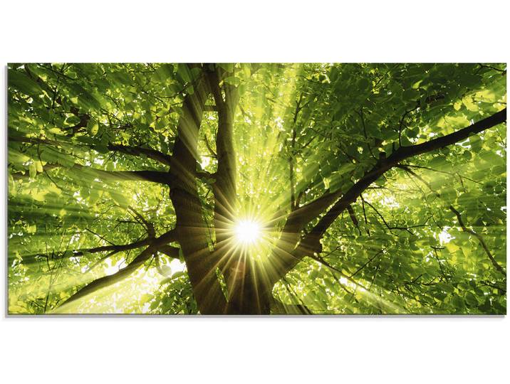 Glasbild ARTLAND Sonne strahlt explosiv durch den Baum , grün (farbe bild(er): grün), B:60cm H:30cm, Bilder, Glasbild, in verschiedenen Grössen