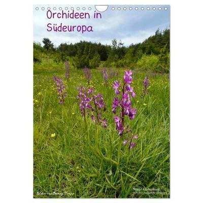 Orchideen in Südeuropa (Wandkalender 2027 DIN A4 hoch), CALVENDO Monatskalender