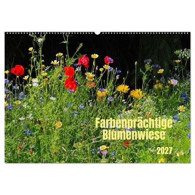 Farbenprächtige Blumenwiese (Wandkalender 2027 DIN A2 quer), CALVENDO Monatskalender