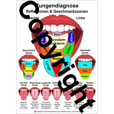 Zungendiagnose, Zubehör von Tanja Aeckersberg, Aeckersberg, Ingrid, 978-3-911548-25-0
