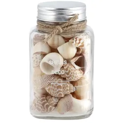 HOME STORY Muschelmix im Glas   ¦ beige ¦ Naturfaser,Glas ¦ Maße (cm): B: 9 H: 14,8 T: 9.0