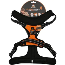 Spotted Pro Spotted! PRO Geschirr Orange L (L, Hund, Allgemein, Spazieren), Halsband + Leine