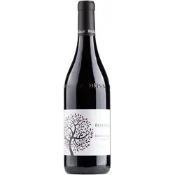 Bel Colle Barbera d’Alba Superiore Le Masche 2023