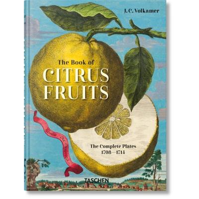 J.C. Volkamer, Gebundene Ausgabe von Iris Lauterbach, Taschen, 978-3-8365-9478-3