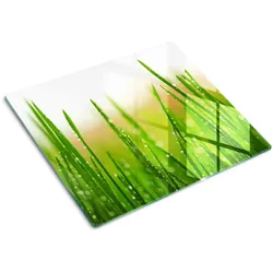 GLASPLATTE 60x52 cm Gras