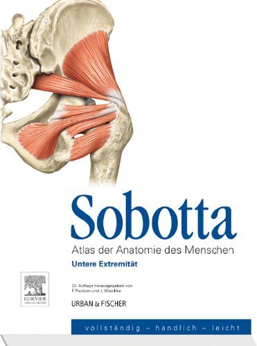 Friedrich Paulsen - Sobotta, Atlas der Anatomie des Menschen Heft 3: Untere Extremität - Preis vom 11.10.2026 15:43:13 h