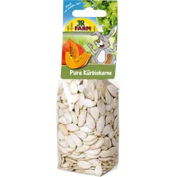 JR FARM Pure Kürbiskerne 125g Kleintiersnack