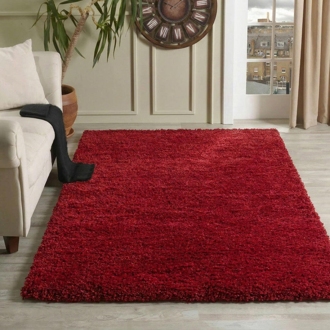 Hashtag Home Esterly Shaggy Area Rug Red Rectangle 120 x 170cm