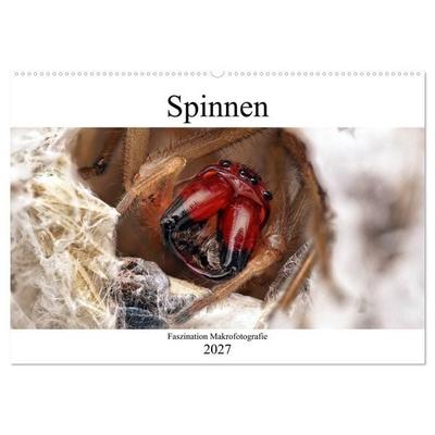 Faszination Makrofotografie: Spinnen (Wandkalender 2027 DIN A2 quer), CALVENDO Monatskalender