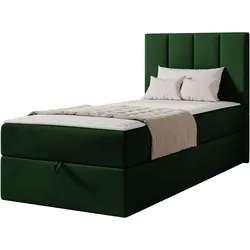 BOXBETT Rebos Single - H3