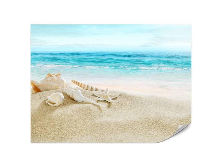 FOTOTAPETE für Badezimmer Muscheln Strand Sand Wellen Meer 200x140