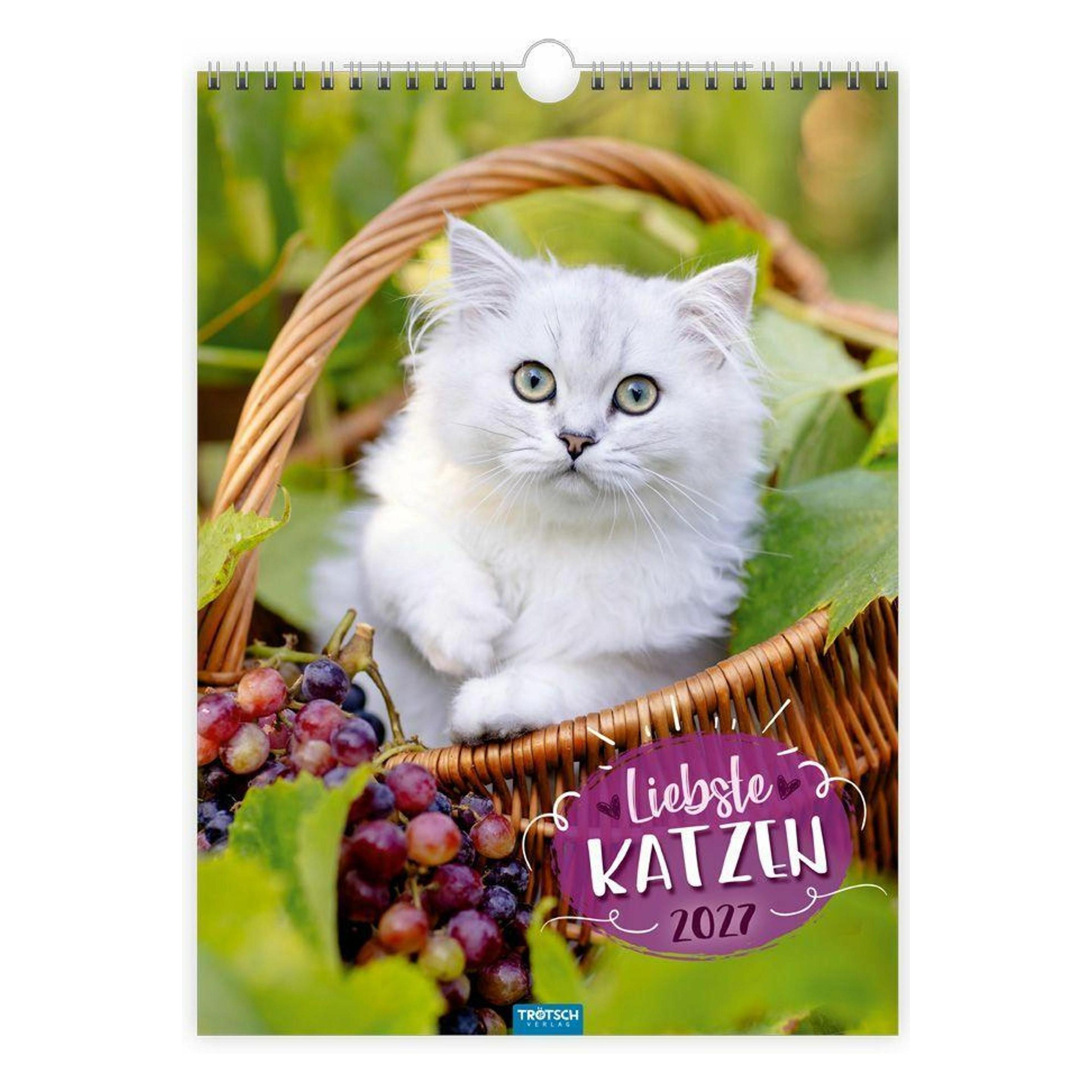 Trötsch - Classickalender Liebste Katzen 2027 (71220608)