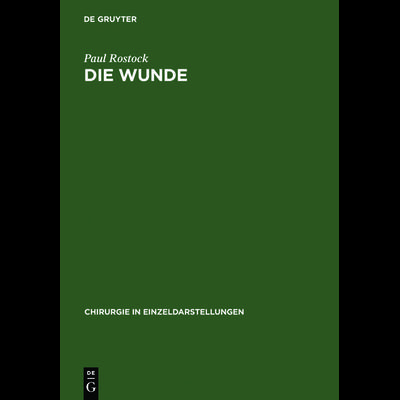 Die Wunde, Gebundene Ausgabe von Paul Rostock, De Gruyter, 978-3-11-023834-1
