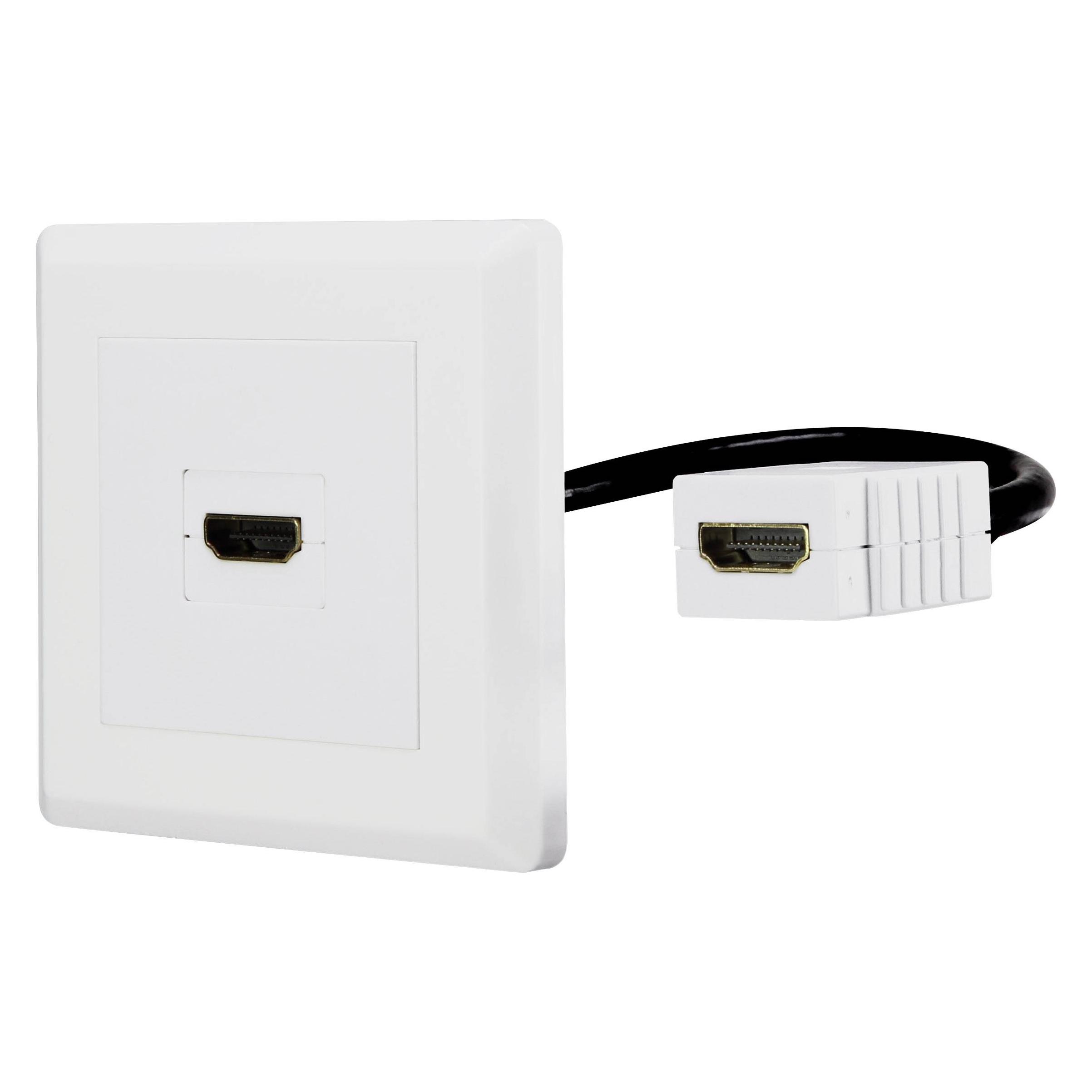 Renkforce HDMI Adapter (1x HDMI-Buchse (RF-4538136)