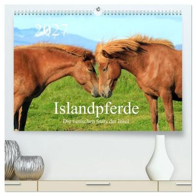 Islandpferde - Die tierischen Stars der Insel (hochwertiger Premium Wandkalender 2027 DIN A2 quer), Kunstdruck in Hochglanz