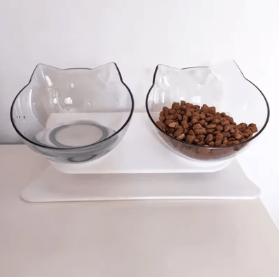 Inspire Curations DineEase Elevated Double Pet Bowl With Non Slip Stand transparent