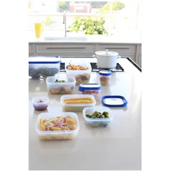 Curver 3253920019028, Vorratsbehälter, Blau, Transparent