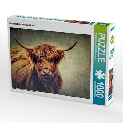 CALVENDO Puzzle Schottisches Hochlandrind | 1000 Teile Lege-Größe 64x48cm Foto-Puzzle für glückliche Stunden
