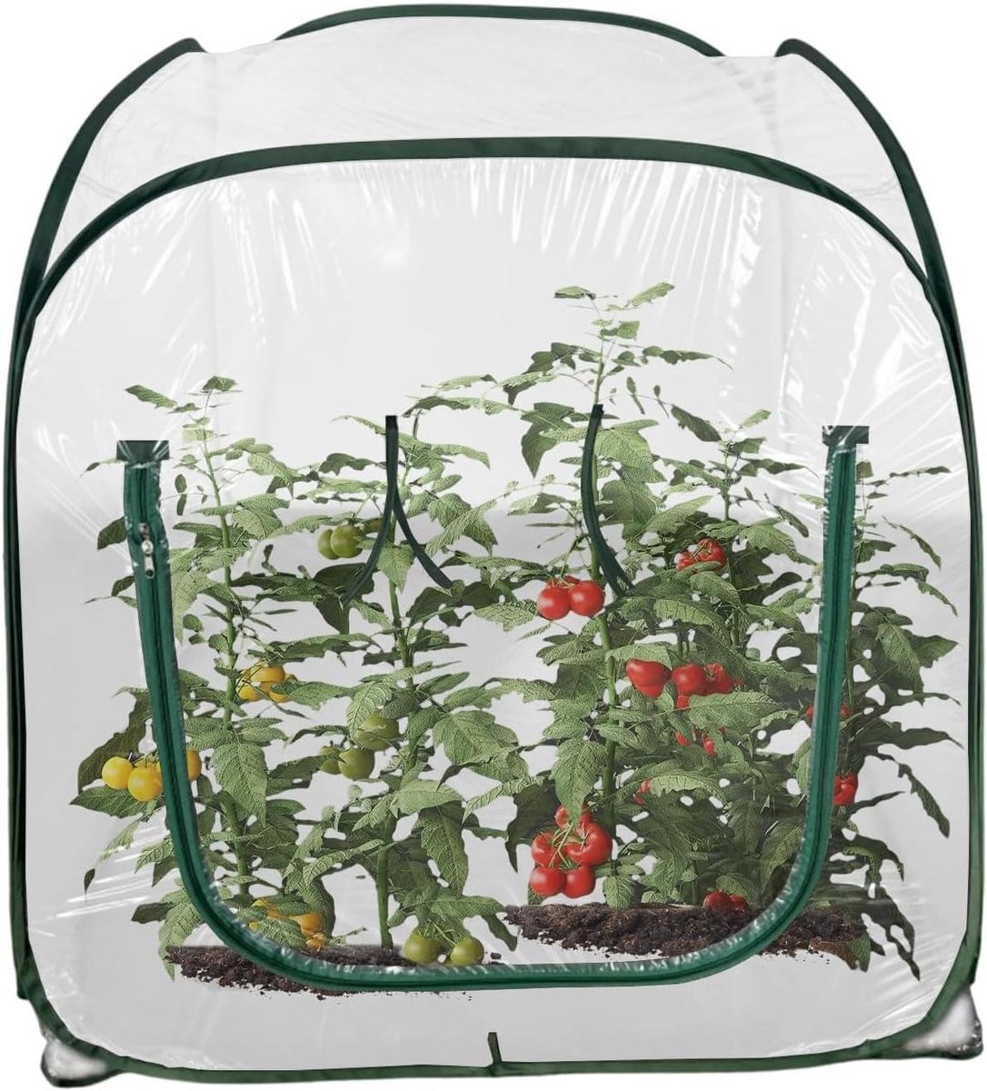 Mini Kweekkas Transparant - Opvouwbare Kas voor het Beschermen van Planten - B/D/H: 98 x 98 x 98 cm