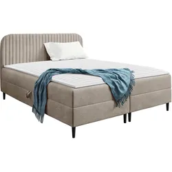BOXBETT Box Best 1 - H3