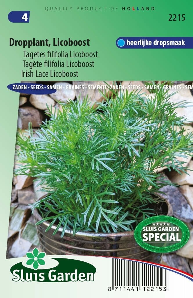 Sluis Garden Dropplant zaden Tagetes filifolia Licoboost
