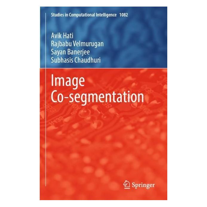 Springer Image Co-segmentation (Englisch, Softcover, Avik Hati, Rajbabu Velmurugan, Sayan Banerjee, Subhasis Chaudhuri) (56999327)